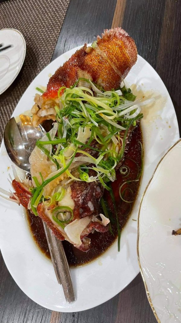 Cá Mú Đỏ Bịp - Ảnh 4