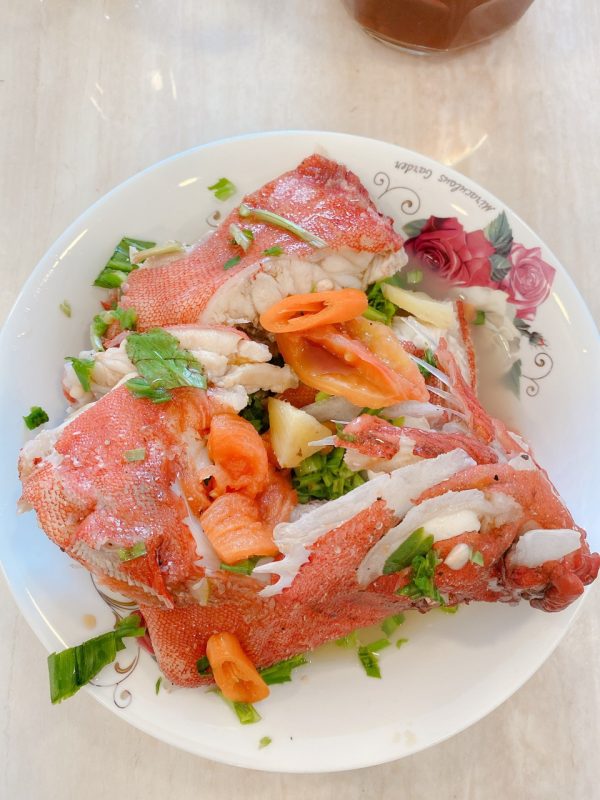 Cá Mú Đỏ Bịp - Ảnh 5