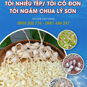Tỏi Đảo Lý sơn
