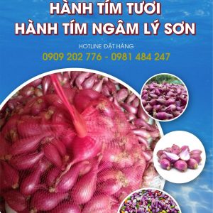 Hành Tím Đảo Lý Sơn