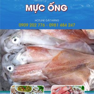 mực ống câu mi tươi , ngon , sạch